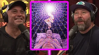 Joe Rogan on DMT Realms, The Afterlife & Graham Hancock | Bert's in AWE | JRE 1954