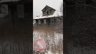 Заброшенная деревня в глубинке Вологодской области. Огромные северные дома