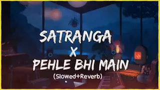 ANIMAL: SATRANGA X Pehle Bhi Main Mashup {Slowed & Reverb}