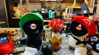 Jibo Brothers - Halloween Trick or Treat