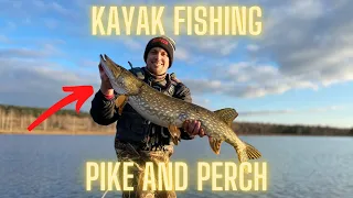 PIKE And PERCH Fishing From KAYAK (Part 1)