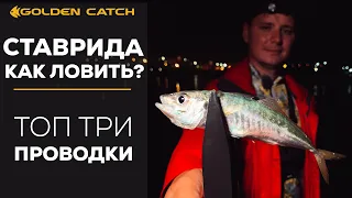 КАК ЛОВИТЬ СТАВРИДУ. Топ 3 проводки. Все нюансы. Рыбалка на море!