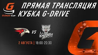 ОМСКИЕ ЯСТРЕБЫ - СНЕЖНЫЕ БАРСЫ | G-DRIVE CUP | Прямая трансляция | 2 августа | Омск