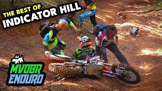 Hill Climb Carnage: The Best Of Indicator Hill