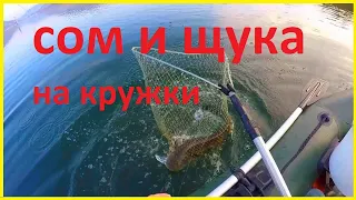 крым рыбалка озеро гасфорт сом и щука на кружки