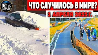 Катаклизмы за день 1 АПРЕЛЯ 2022! Пульс Земли! #flooding #снегопад катаклизмы сегодня наводнение