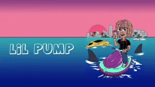 Lil Pump-I Love It feat. Kanye West (without Adele Givens in the end)