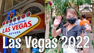 LAS VEGAS VACATION TRIP 2022 | What Happens in Vegas, Stays in Vegas!