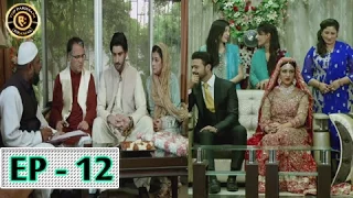 Tumhare Hain Episode 12 - 14th April 2017 - Top Pakistani Drama