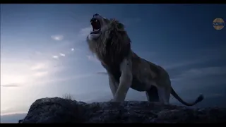 Can You Feel The Love Tonight - Elton John - Lion King 2019