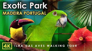 Exploring Madeira's Newest Exotic Bird Park Near Funchal, Portugal | Ilha das Aves | 4K Walking Tour