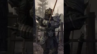 Путешествуйте в The Elder Scrolls Online!