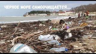 ДИВНОМОРСКОЕ. ЖЕСТЬ НА ПЛЯЖЕ. ЧЕРНОЕ МОРЕ САМООЧИЩАЕТСЯ! ФЕВРАЛЬ 2020г.