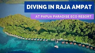 Diving in Raja Ampat at Papua Paradise Eco Resort