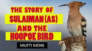 Story of Prophet Sulaiman (AS) and the Hoopoe Bird - Mufti Menk