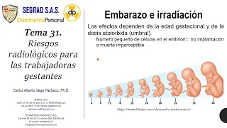 Tema 31 Riesgo radiológico para las trabajadoras gestantes