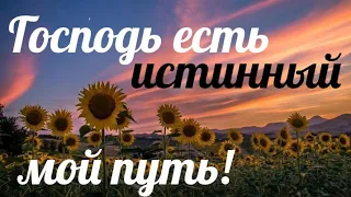 Господь есть истинный мой путь... Христианская песня...