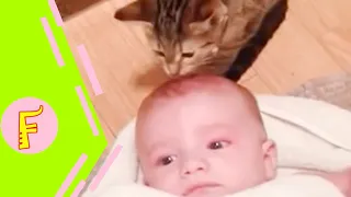 Baby And Cat Fun And Cute #4 - Funny Baby Videos