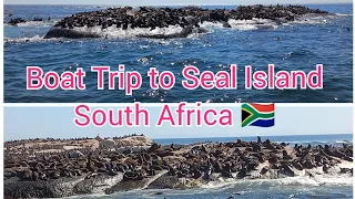 Boat Trip to Seal Island/Hout Bay/Cape Town/South Africa 🇿🇦#capetown #capetownvlog