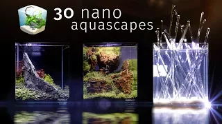 Thirty Of the Best Nano Aquascapes In America — Aquatic Experience 2017