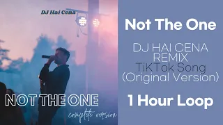[1 Hour Loop] 🎵 틱톡노래 Not The One - DJ HAI CENA REMIX | TikTok Song (Original Version)