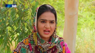 Sindh TV Soap Serial Mitti ja Manho Ep43 Part 2 - 22-9-2016 - HD1080p - SindhTVHD