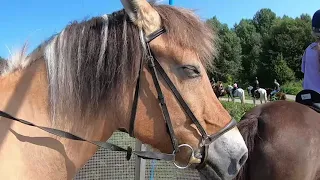 Buitenrit Balijmanege september 2021