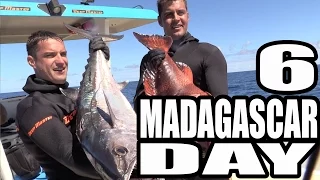 Madagascar Day 6 - Охотимся