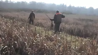 Pheasant Hunting Ohio Pheasant Preserve