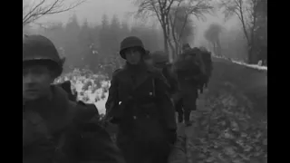 2nd Infantry Division at Krinkelter Wald, near Krinkelt, Belgium; December 13, 1944