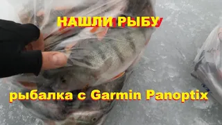 Нашли рыбу. Garmin Panoptix.
