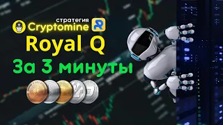 RoyalQ и УНИКАЛЬНАЯ торговая стратегия Cryptomine. В чем плюсы, кроме того, что мы считаем ее лучшей