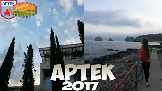 АРТЕК 2017/ПОЛЕВОЙ/ДО СЛЕЗ