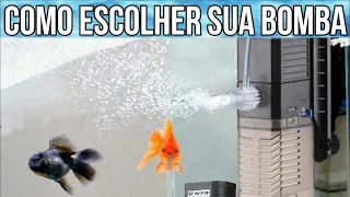 Dicas para escolher a bomba do seu aquário!