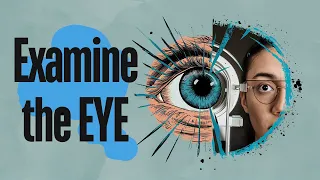 Examine the Eye