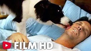 A Loyal Friend | Film HD