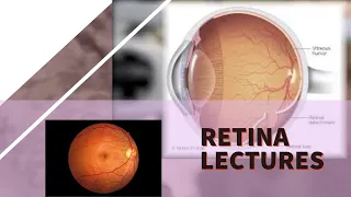 RETINA lecture 23 RETINAL DETACHMENT full concept made very eay