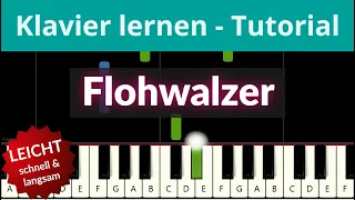 Flohwalzer | Üb #mitmir Klavier! Bekannte Lieder für Klavier | Piano Tutorial ♫ Felicitas Falke ♫