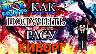 КАК ПОЛУЧИТЬ РАСУ КИБОРГ В БЛОКС ФРУТС, РОБЛОКС?!😍🤖😲😨 / HOW TO GET CYBORG RACE BLOX FRUIT, ROBLOX?!😍