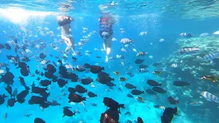 4K Snorkelling in Hurghada, Egypt, Oct 21- near Orange Bay