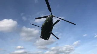 Low pass Chinook