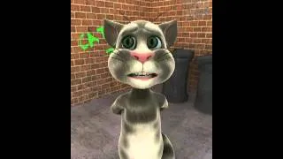 Talking Tom batman