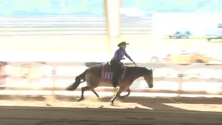 5 30 24   Buckeye Reining Spectacular   Non Pro   Lisa Gatt on Diamonds N Chics