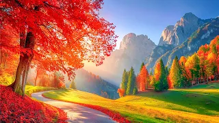 Soothing Autumn Melody 🍁 Serene Autumn Music to Soothes Your Soul, Healing Melodies of Autumn