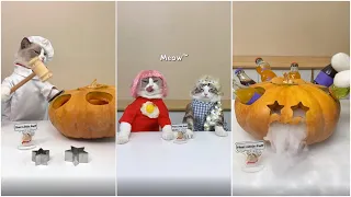 Кошки готовят еду 2022 "This Little Puff" Tiktok Compilation #63