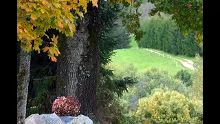 Eesti sügisvaated - Estonian autumn vistas - September 2021 (4K video by Fujifilm X-T30)