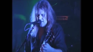 Michael Bruce - Desperado | Halo of Flies (Live)