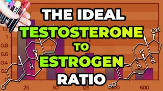 The Ideal Testosterone To Estrogen Ratio In Your Blood Work For Health And Performance