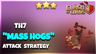 'MASS HOGS' | Th7 BEST 3 Star War Attack Strategy | Clash Of Clans