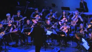 PIRATES OF THE CARIBBEAN - HD - K. Badelt - Orkester Mandolina Ljubljana - cond. Andrej Zupan